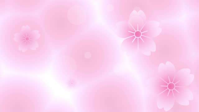 Cherry blossom and abstract pink background video