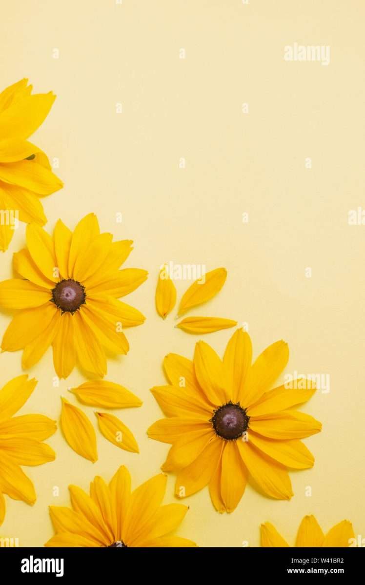 flowers-composition-pattern-made-of-yellow-flowers-on-pastel-yellow-background-summer-and-autumn-con