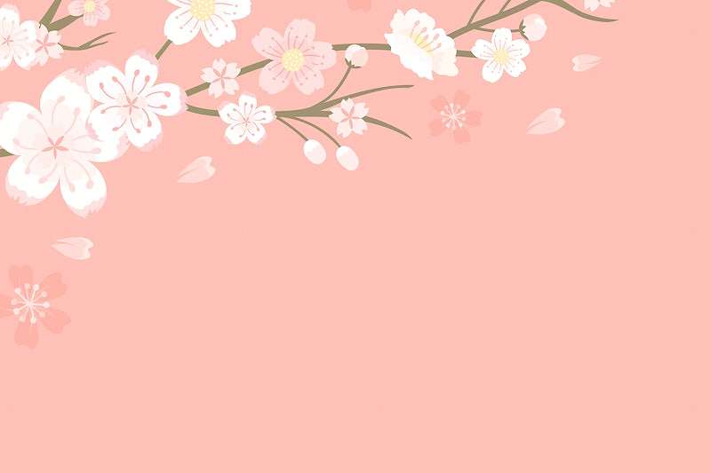 Spring background vector with pink sakura cherry blossom border