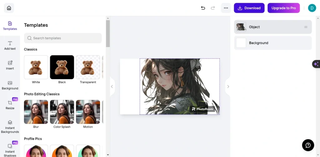 Photoroom interface