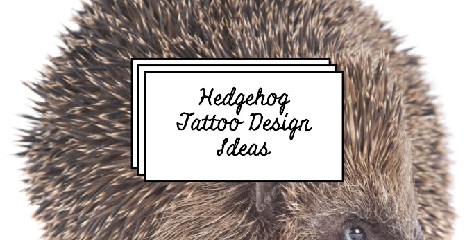 Hedgehog Tattoo Design Ideas