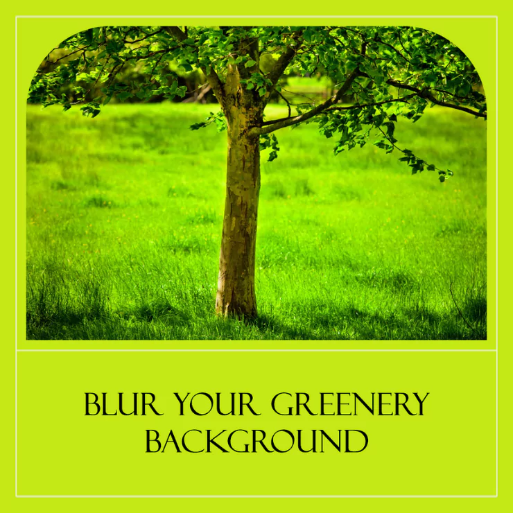 How to Blur Greenery Background: Step by Step Guide