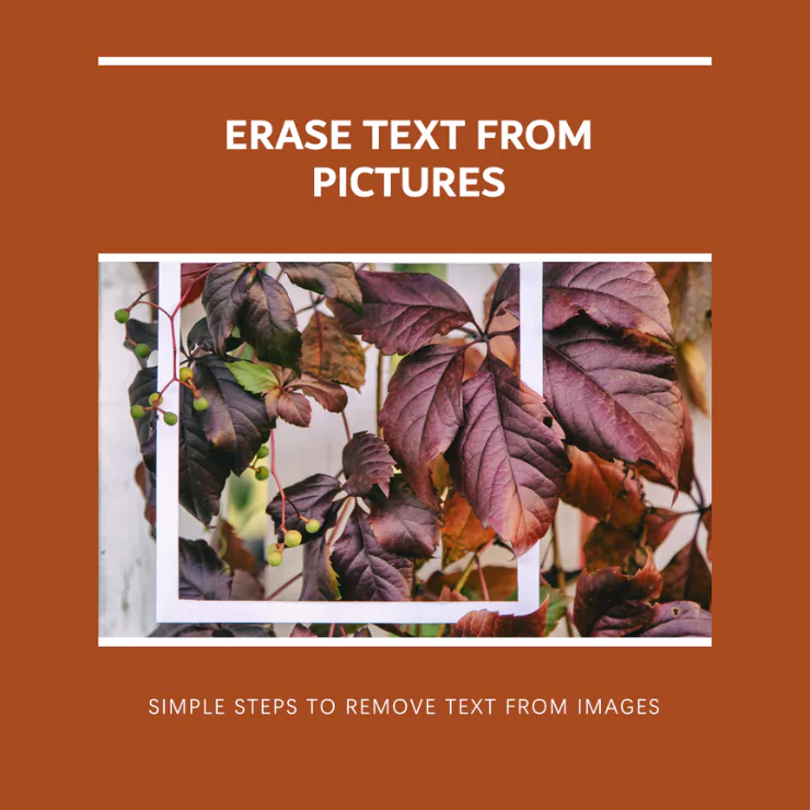 How to delete text from pictures? Easy Steps