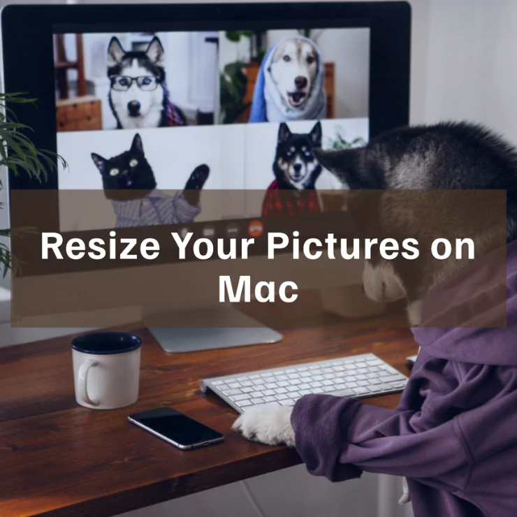 How to Resize a Picture on Mac Without Losing the Quality