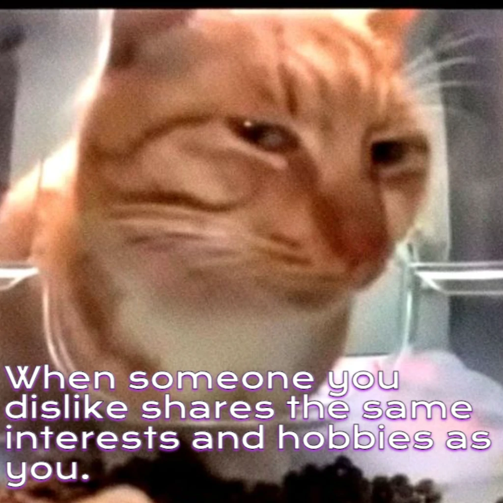 Cat meme generated by ZMO